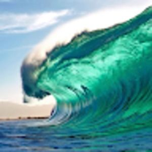 Meet your Posher, Adam